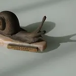 Il Melograno