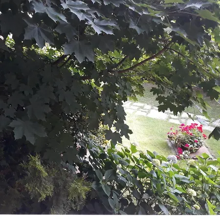 Il Melograno * Borgo San Dalmazzo