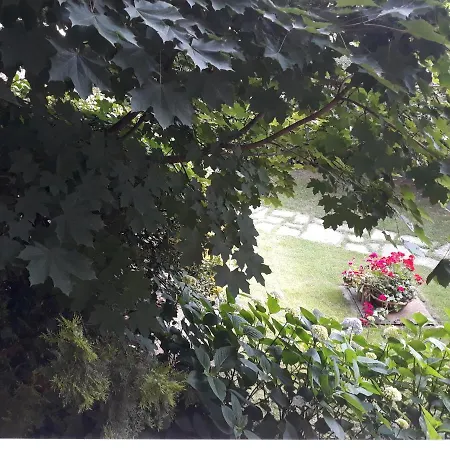 梅洛格兰诺旅馆 4* 圣达尔马佐镇
