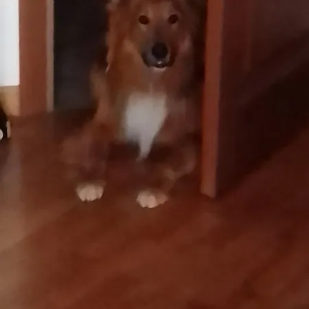 Bed & Breakfast Il Melograno