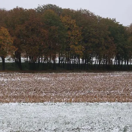 Il Melograno 4* بورغو سان دالمازو