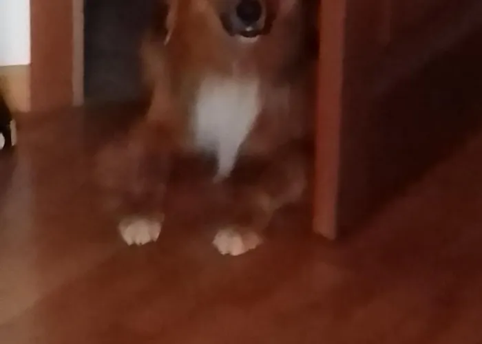 Bed & Breakfast Il Melograno